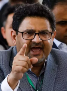 Maturity can come in politics if judiciary and army do their job, Miftah Ismail