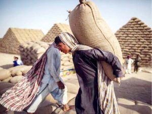 More than 50% of flour mills were closed due to the stoppage of wheat delivery in Karachi
